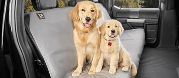 Non-Slip Dog Car Seat Cover β Waterproof Protector for Cars, Trucks, SUVs (Black)