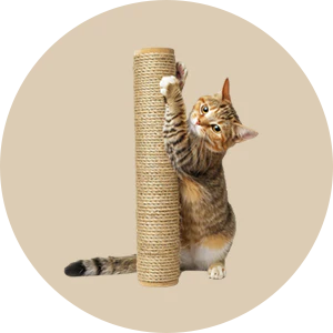 Scratchers