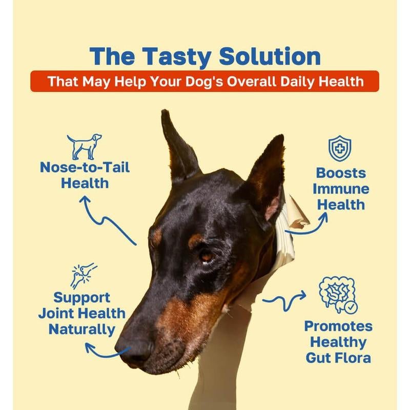 Happy Paws: 10 in 1 Multivitamin for Dogs, 100 Lamb-Flavored Soft Chews, Essential Vitamins for Skin, Coat, Digestion, Mobility, Overall Health