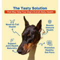 Happy Paws: 10 in 1 Multivitamin for Dogs, 100 Lamb-Flavored Soft Chews, Essential Vitamins for Skin, Coat, Digestion, Mobility, Overall Health