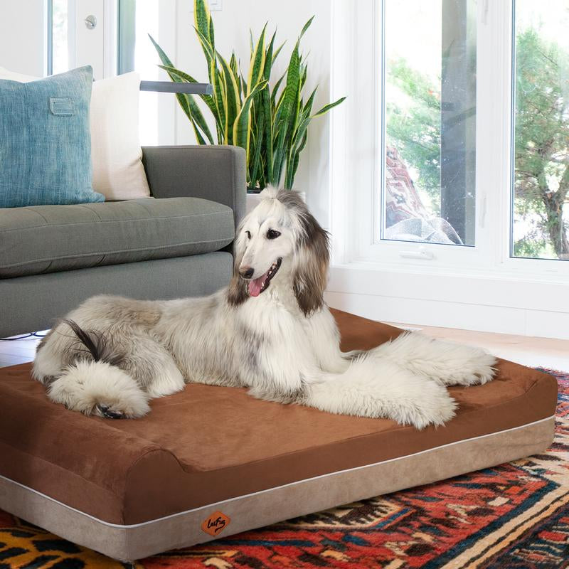 Laifug Orthopedic Memory Foam Extra Large Dog Bed with Double Pillow (50"X36"X10") Durable Water Proof Liner & Removable Washable Cover & Smart Design