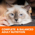 Proactive Health Healthy Adult Dry Cat Food with Chicken, 7 Lb. Bag