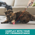 USB Rechargeable Rotatable Pet Laser Light Toy, 5 Modes Adjustable Pet Interactive Toy, Pet Training Toy, Suitable for Indoor Cats and Dogs