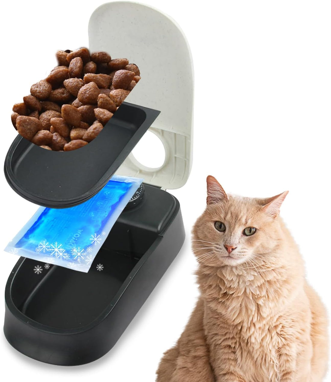 1.5 Cup Automatic Feeder for Dogs & Cats – 48-Hour Timer