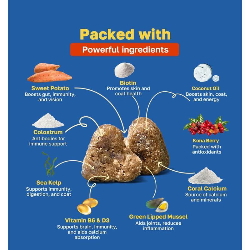 Happy Paws: 10 in 1 Multivitamin for Dogs, 100 Lamb-Flavored Soft Chews, Essential Vitamins for Skin, Coat, Digestion, Mobility, Overall Health
