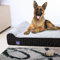 Laifug Orthopedic Memory Foam Extra Large Dog Bed with Double Pillow (50