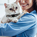2pcs Glow-in-the-Dark Cat Collars – Breakaway, Bell & Moon Pendant (Purple & Black)