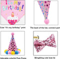 Dog Birthday Set – Bandana, Party Hat & Bow Tie for Medium/Large Dogs (Large)