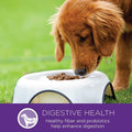 Complete Health Small Breed Puppy Food – Chicken, Oatmeal & Salmon (4 lb)