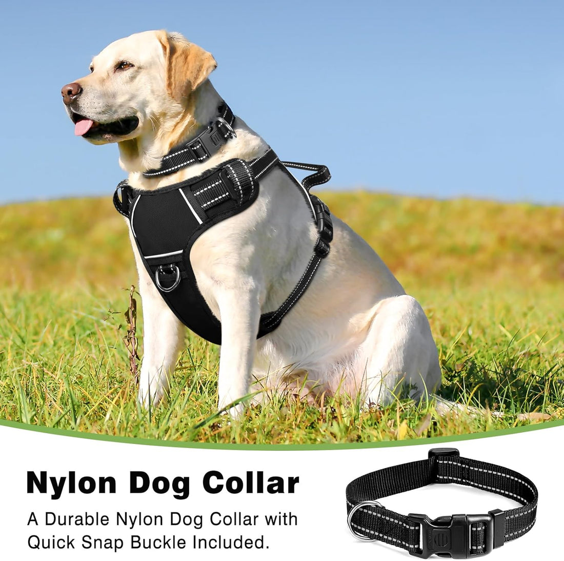 Adjustable No-Pull Dog Harness – Reflective Oxford with Collar & Leash Clips