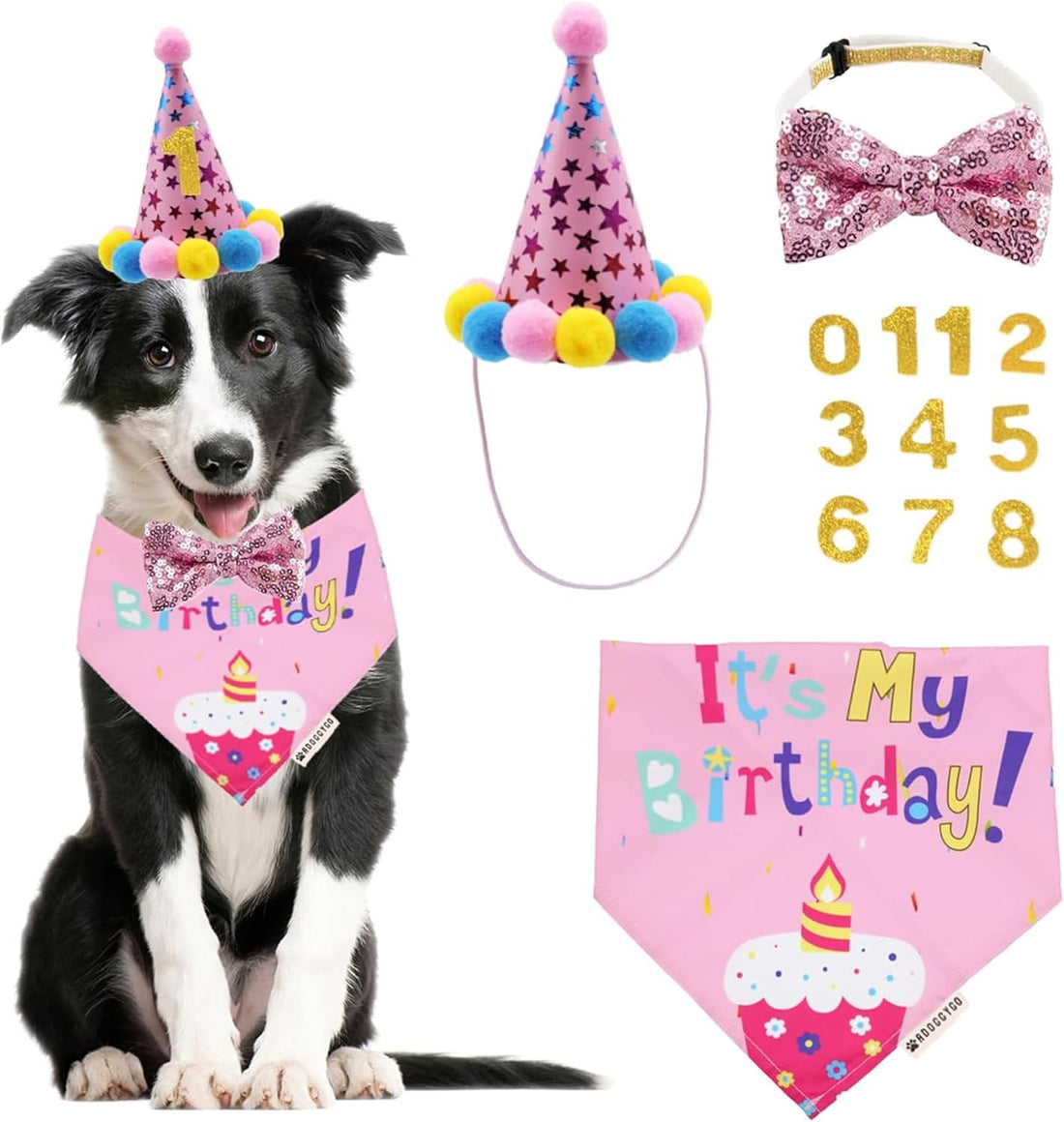 Dog Birthday Set – Bandana, Party Hat & Bow Tie for Medium/Large Dogs (Large)