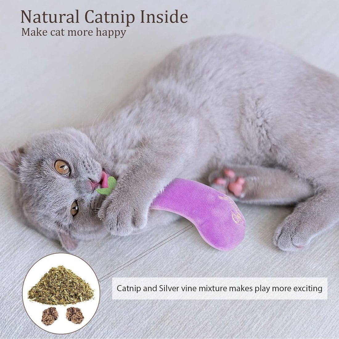 Set of 5 Catnip Toys – Indoor Chew & Exercise for All Cat Breeds