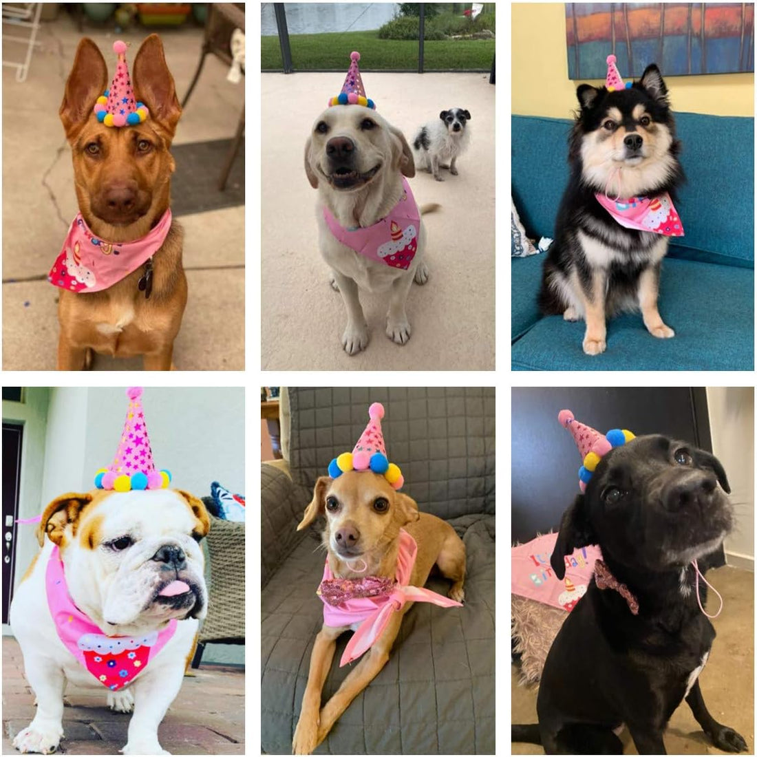 Dog Birthday Set – Bandana, Party Hat & Bow Tie for Medium/Large Dogs (Large)