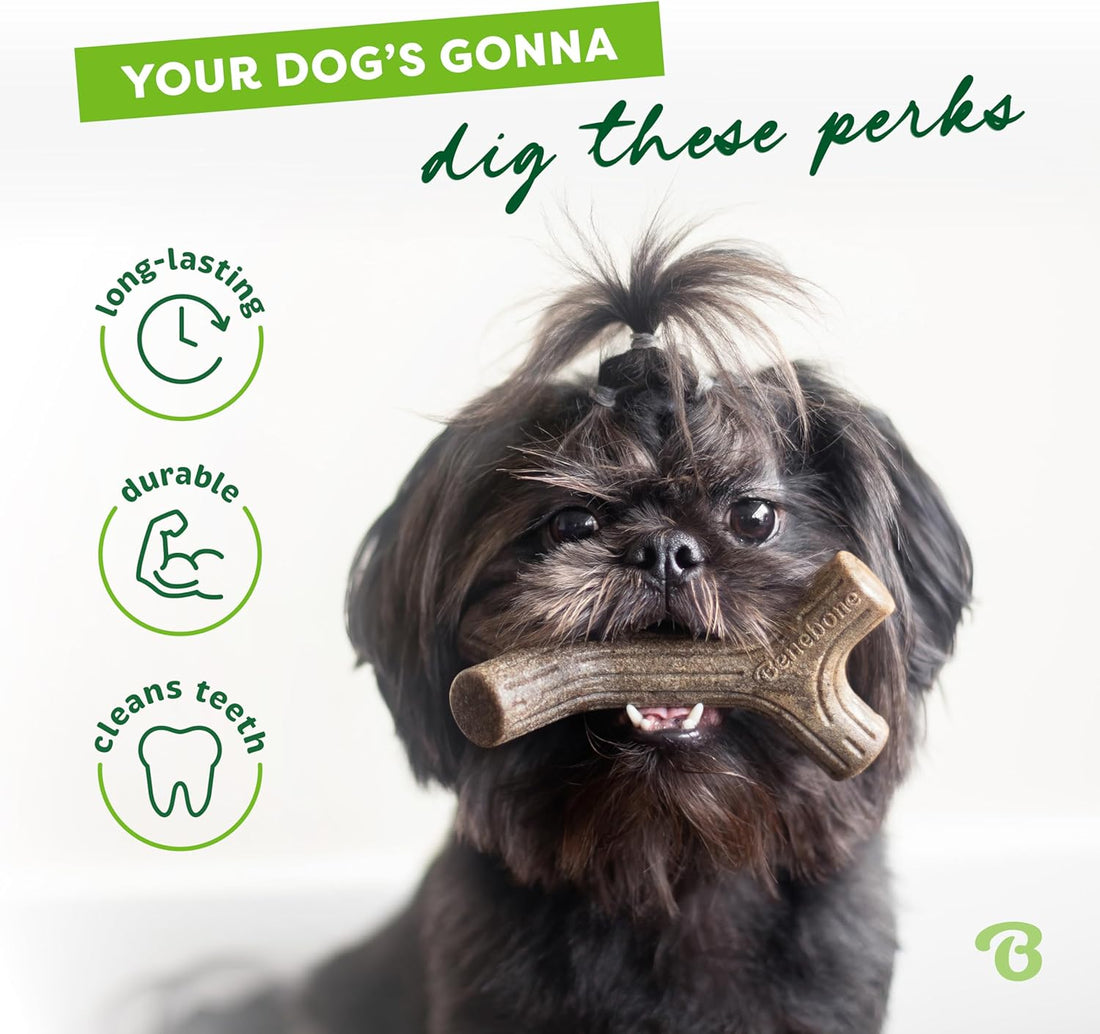 Maplestick Durable Dog Chew Toy for Aggressive Chewers