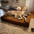 Laifug Orthopedic Memory Foam Extra Large Dog Bed with Double Pillow (50