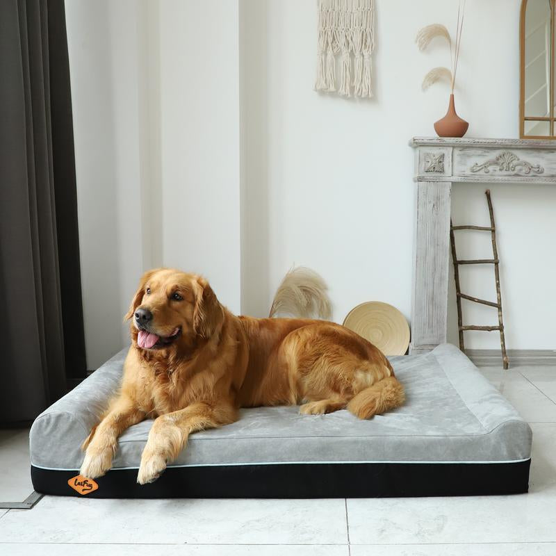 Laifug Orthopedic Memory Foam Extra Large Dog Bed with Double Pillow (50"X36"X10") Durable Water Proof Liner & Removable Washable Cover & Smart Design