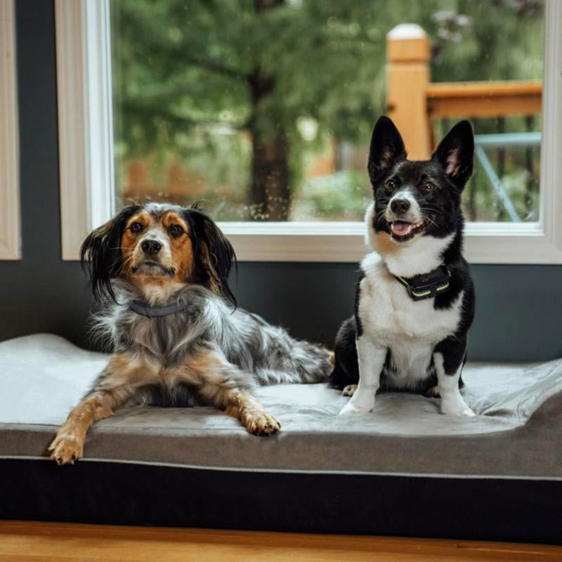 Laifug Orthopedic Memory Foam Extra Large Dog Bed with Double Pillow (50"X36"X10") Durable Water Proof Liner & Removable Washable Cover & Smart Design