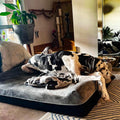 Laifug Orthopedic Memory Foam Extra Large Dog Bed with Double Pillow (50